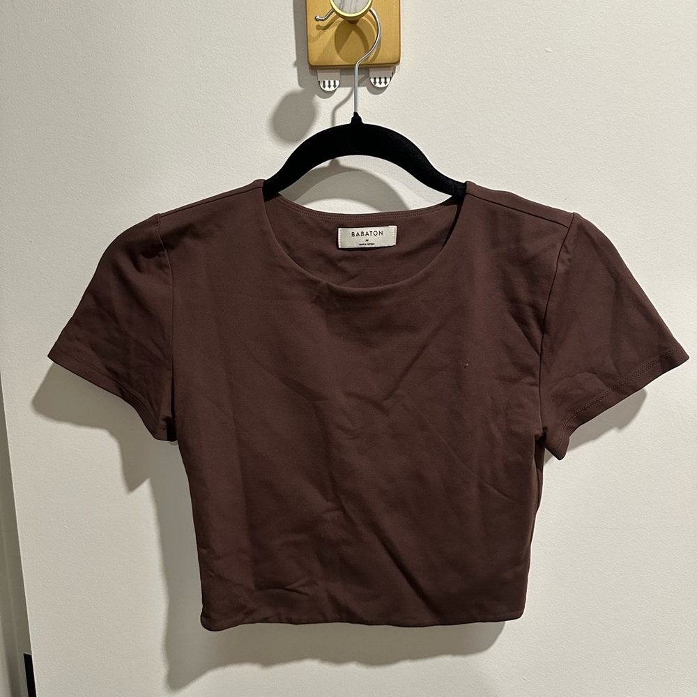 Aritzia Babaton Brown Cropped Tee
